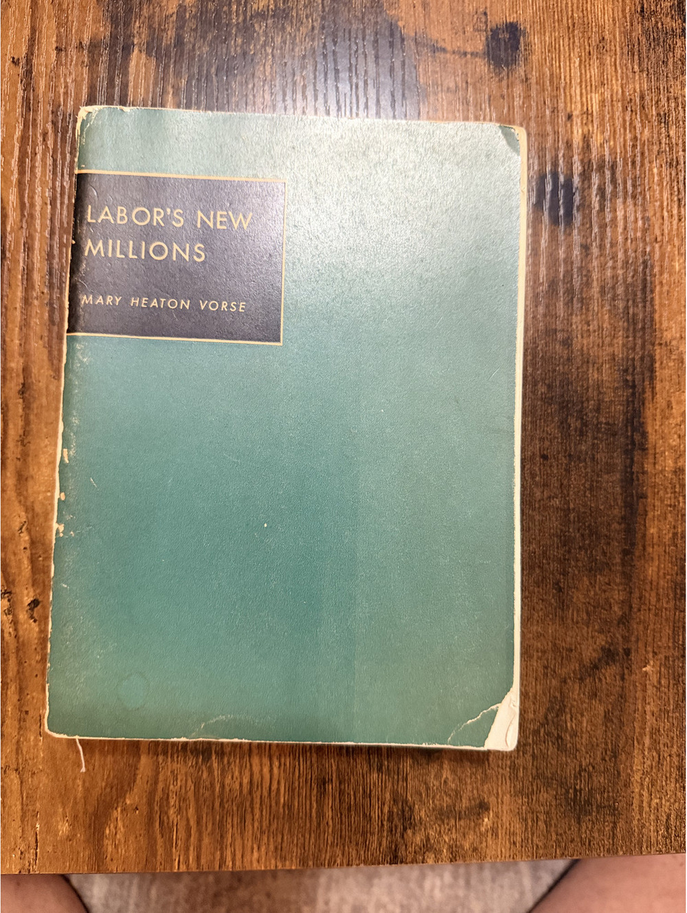 Labors New Millions Mary Heaton Vorse 1938 1st Ed Modern Age Books Vintage PB